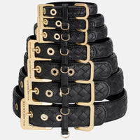 william-walker-leder-hundehalsband-prestige-nero-schwarz-geflochten image 5