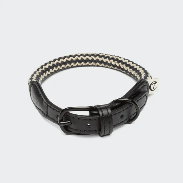 cloud7-mauerpark-zigzag-hundehalsband-vegan-schwarz image 1