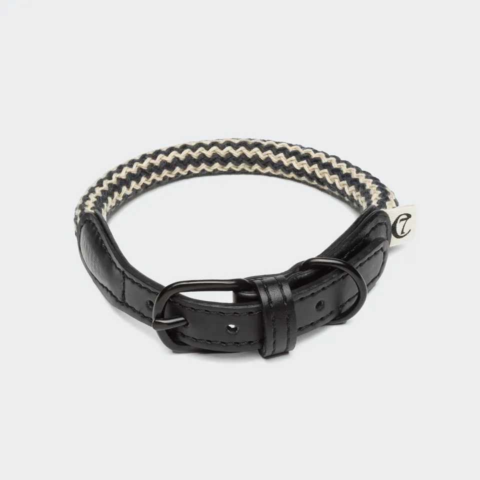 cloud7-mauerpark-zigzag-hundehalsband-vegan-schwarz image 1