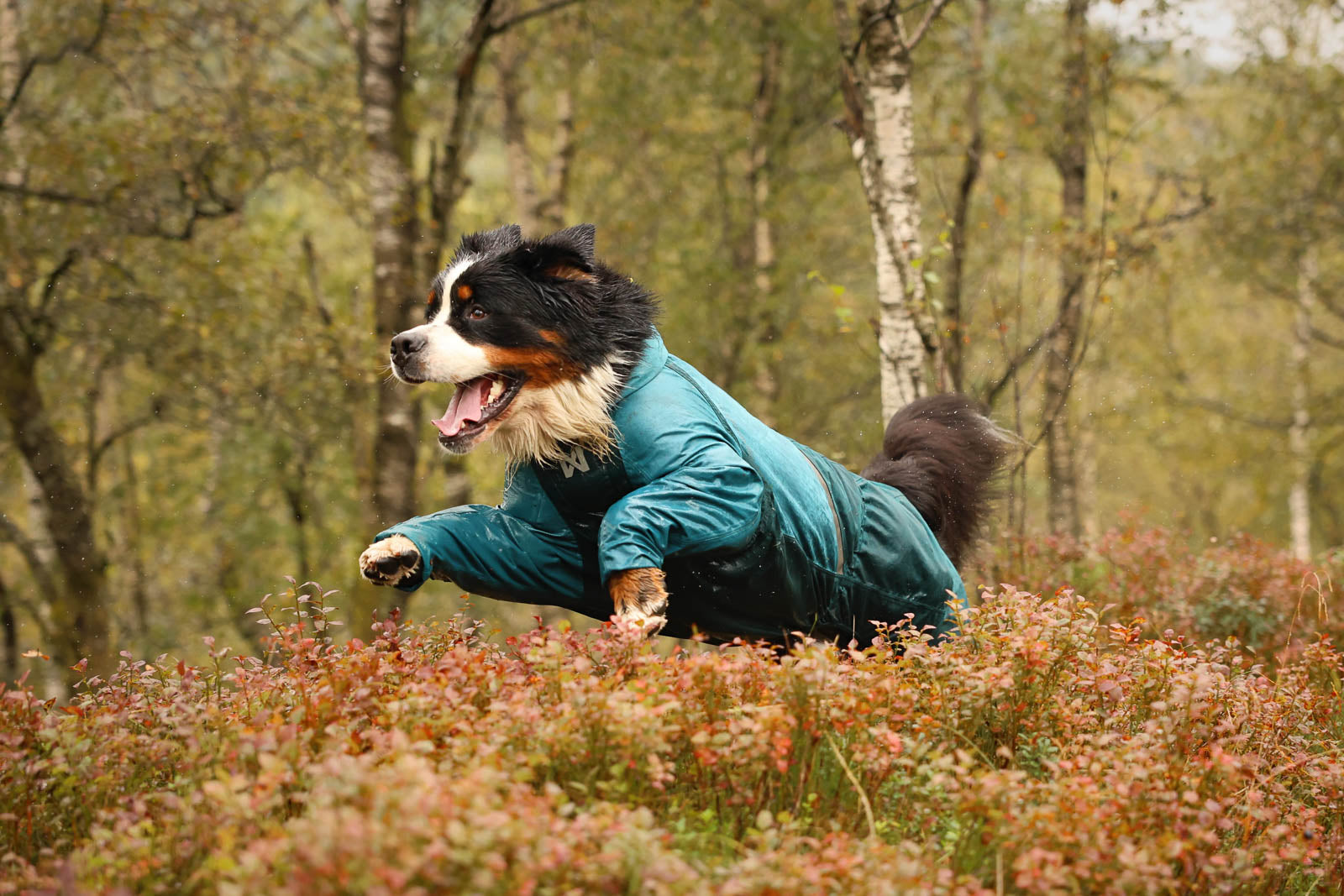 non-stop-dogwear-fjord-overall-raincoat-hunderegenmantel-overall image 4