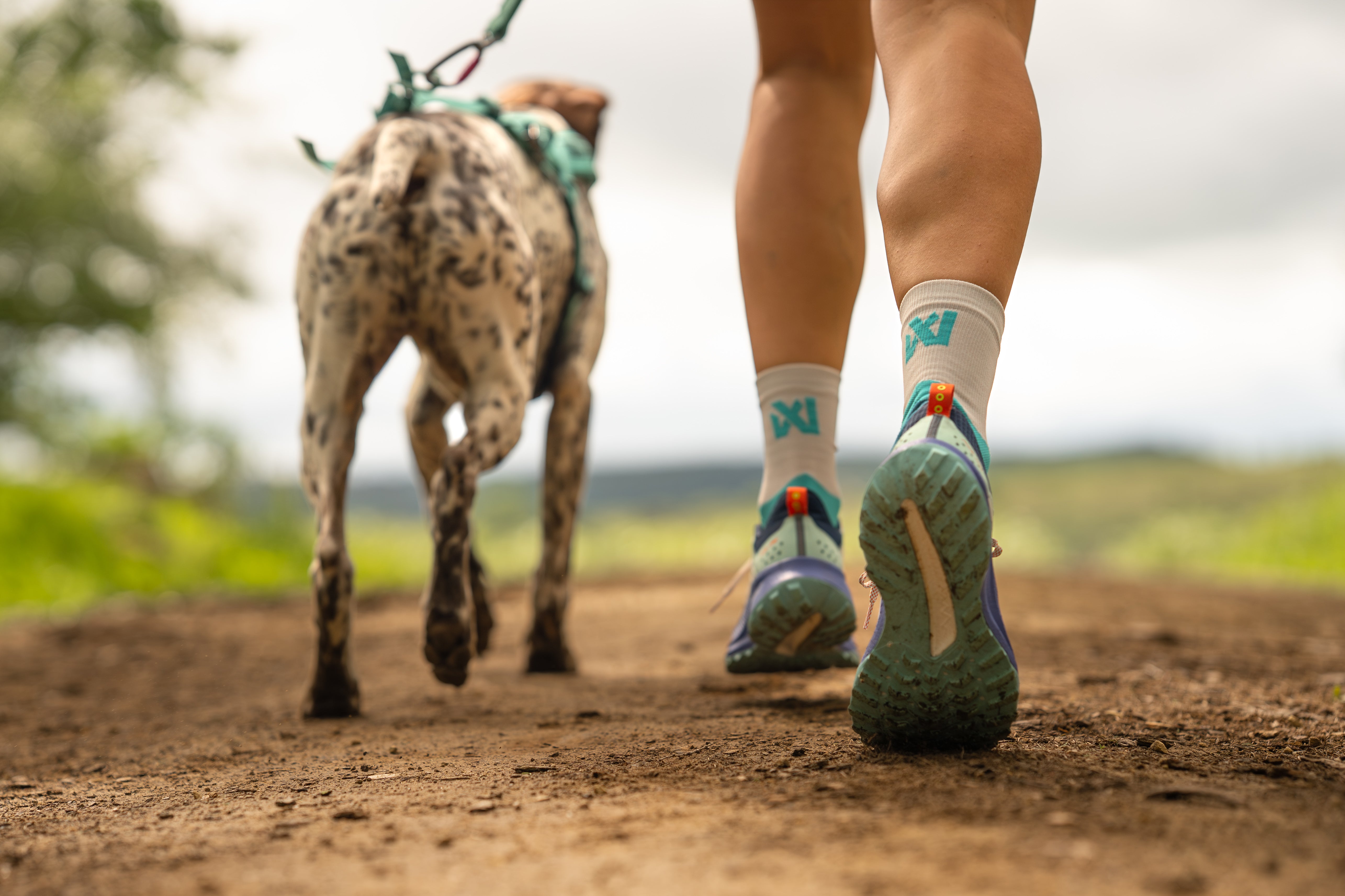 non-stop-dogwear-canix-socks-kompressions-laufsocken-f-r-canicross image 2