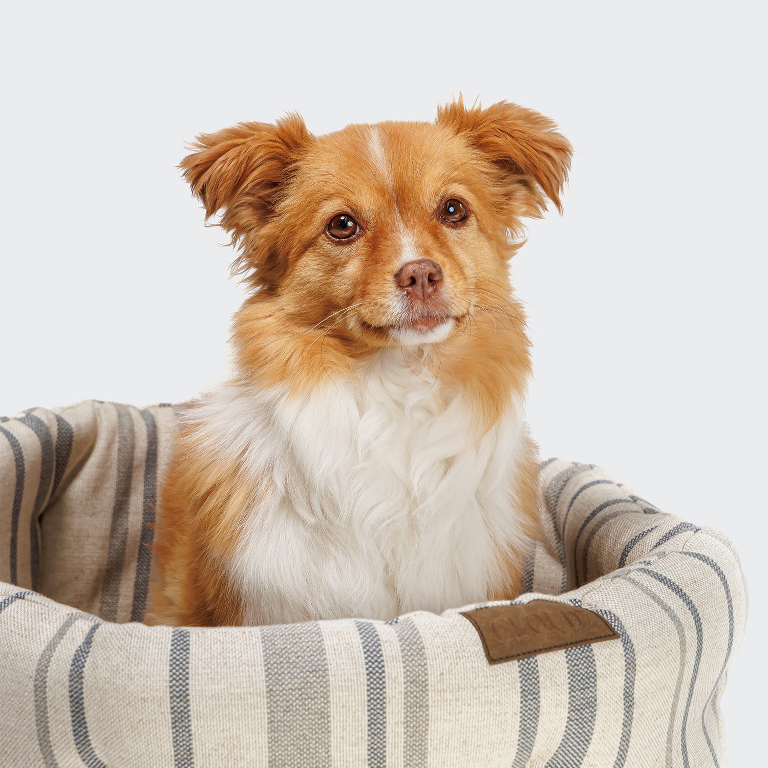 cloud7-lazy-hundekissen-lazy-linen-stripes-natural-blue image 4
