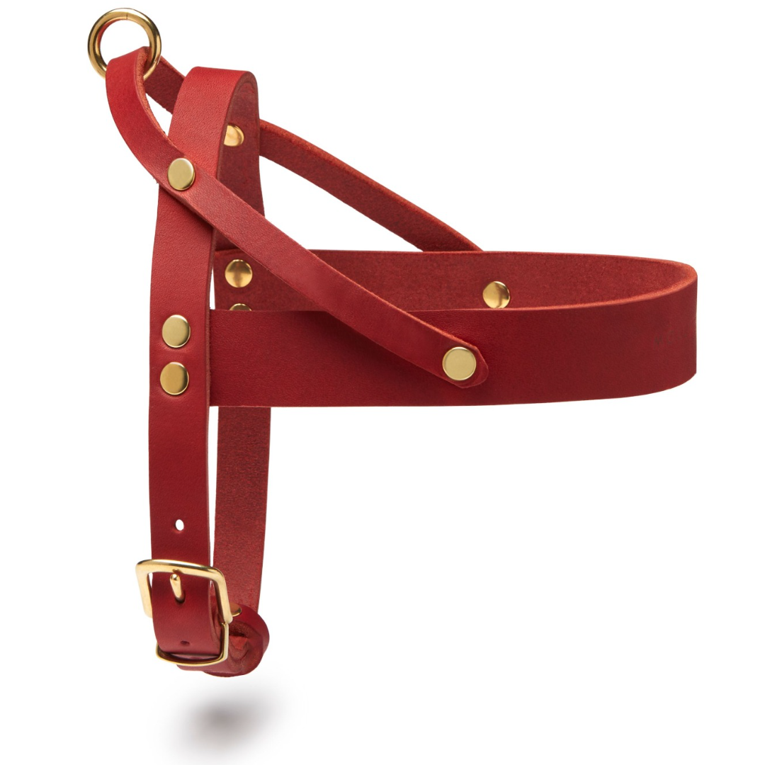 molly-and-stitch-butter-leather-hundegeschirr-chili-red image 1