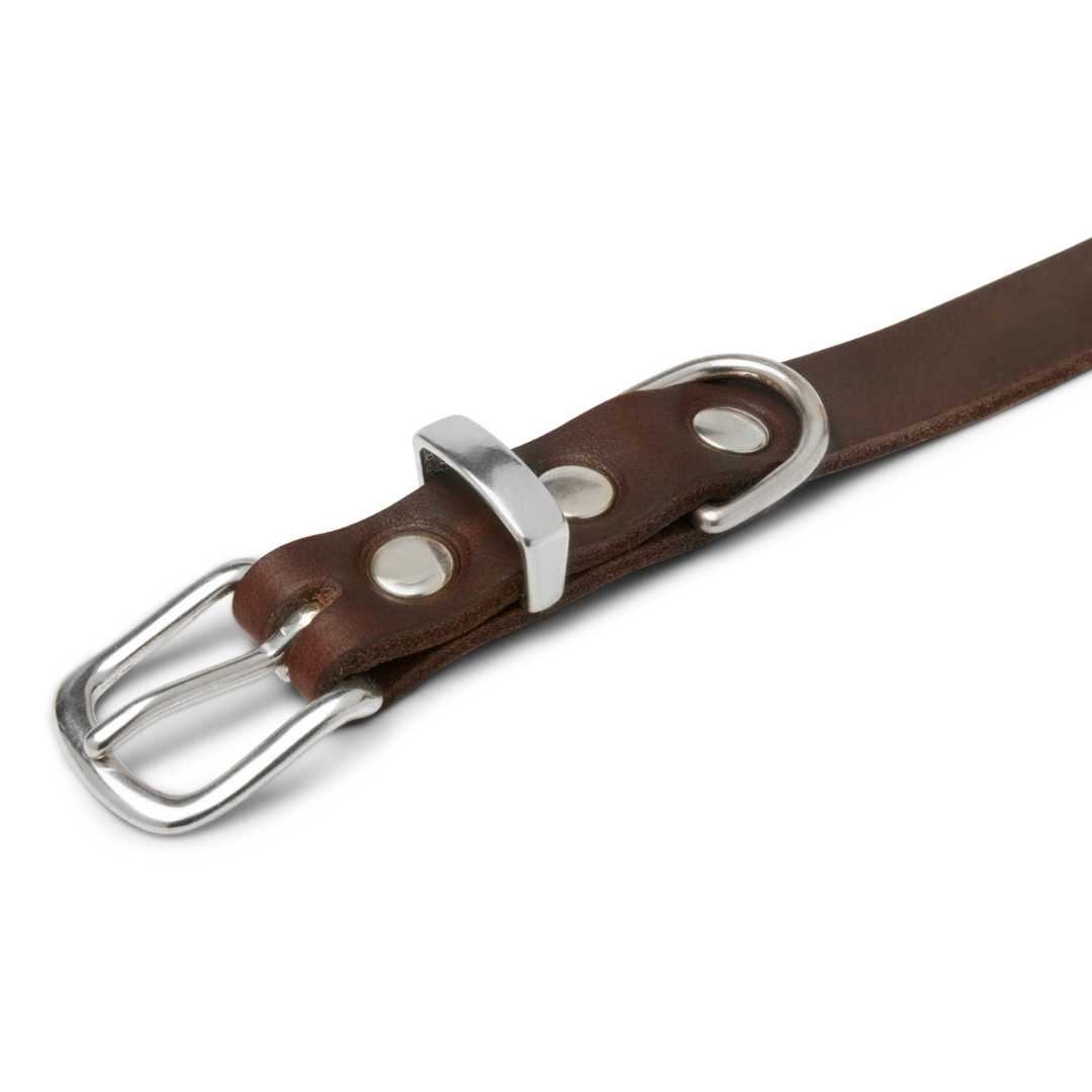 molly-and-stitch-butter-leather-hundehalsband-classic-brown image 4