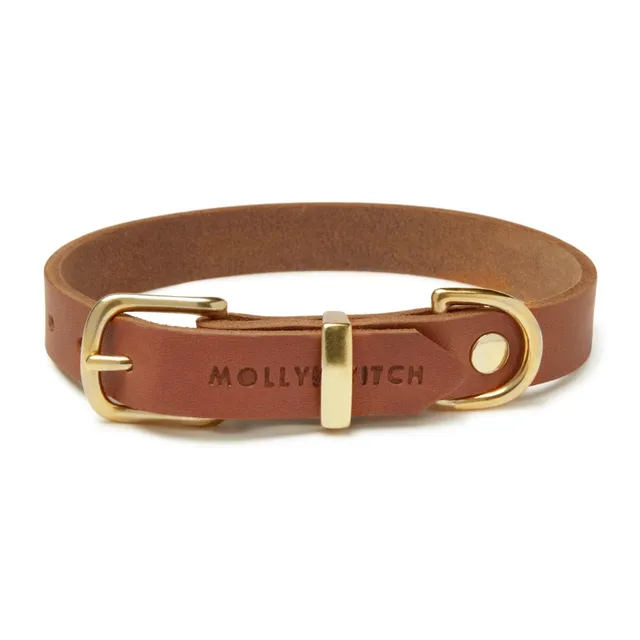 molly-and-stitch-butter-leather-hundehalsband-sahara-cognac image 1
