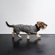 cloud7-brooklyn-dackelmantel-tweed-black-wintermantel-f-r-dackel image 7