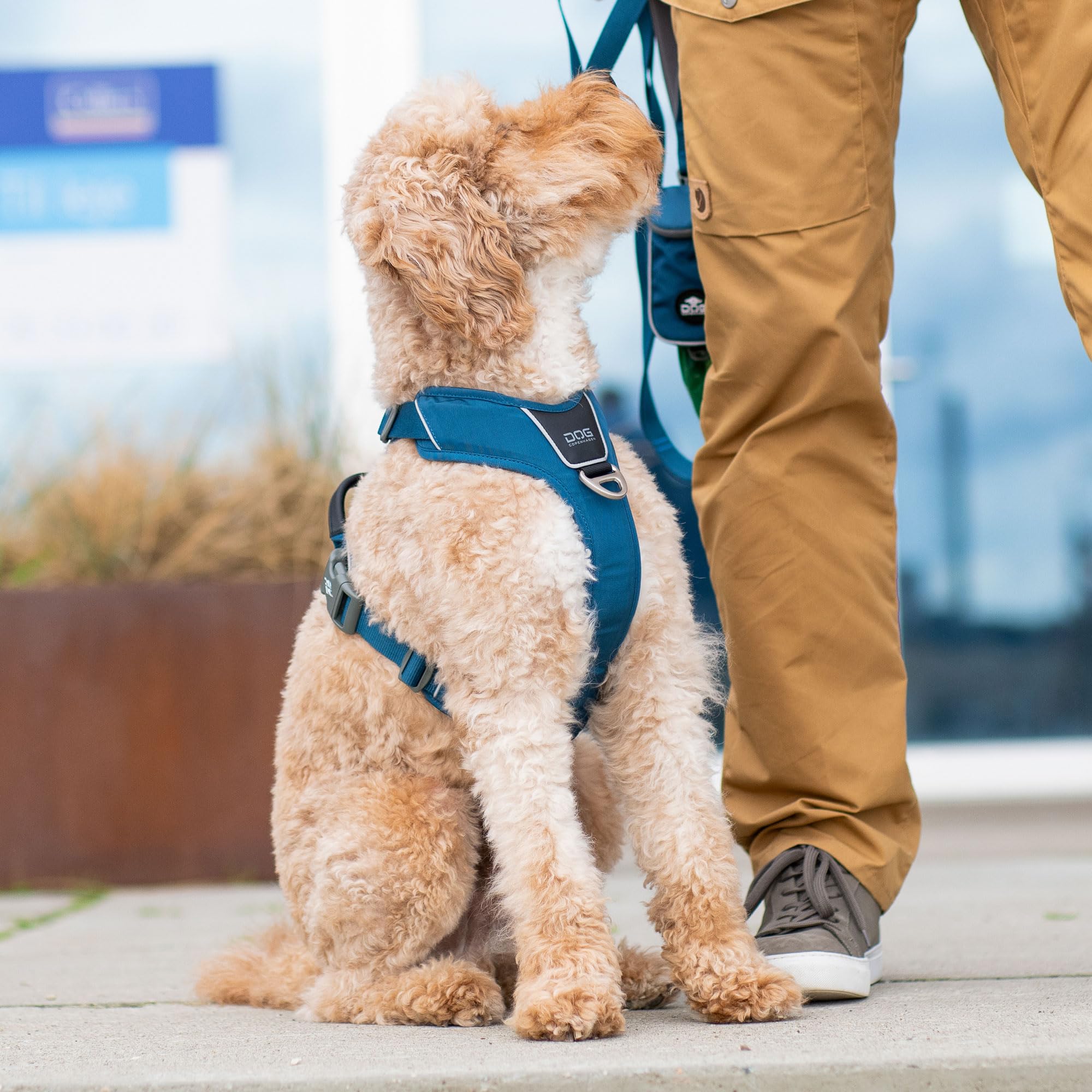 dog-copenhagen-comfort-walk-pro-hundegeschirr-desert-dune-xs image 7