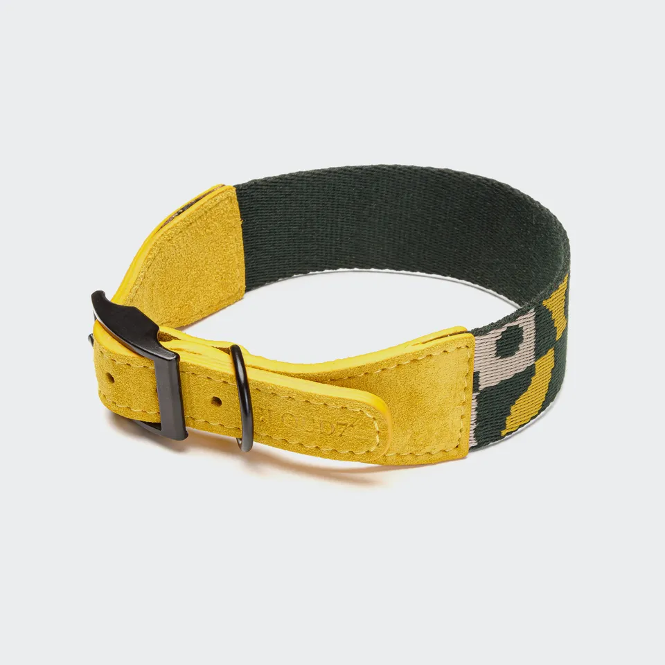 cloud7-maksimir-park-hundehalsband-wide-green-yellow image 1