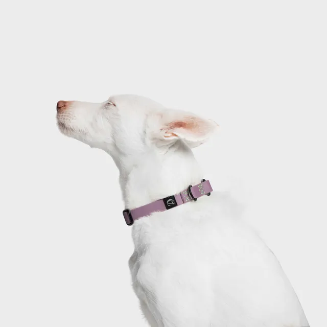 cloud7-ipanema-hundehalsband-biothane-lilac image 1