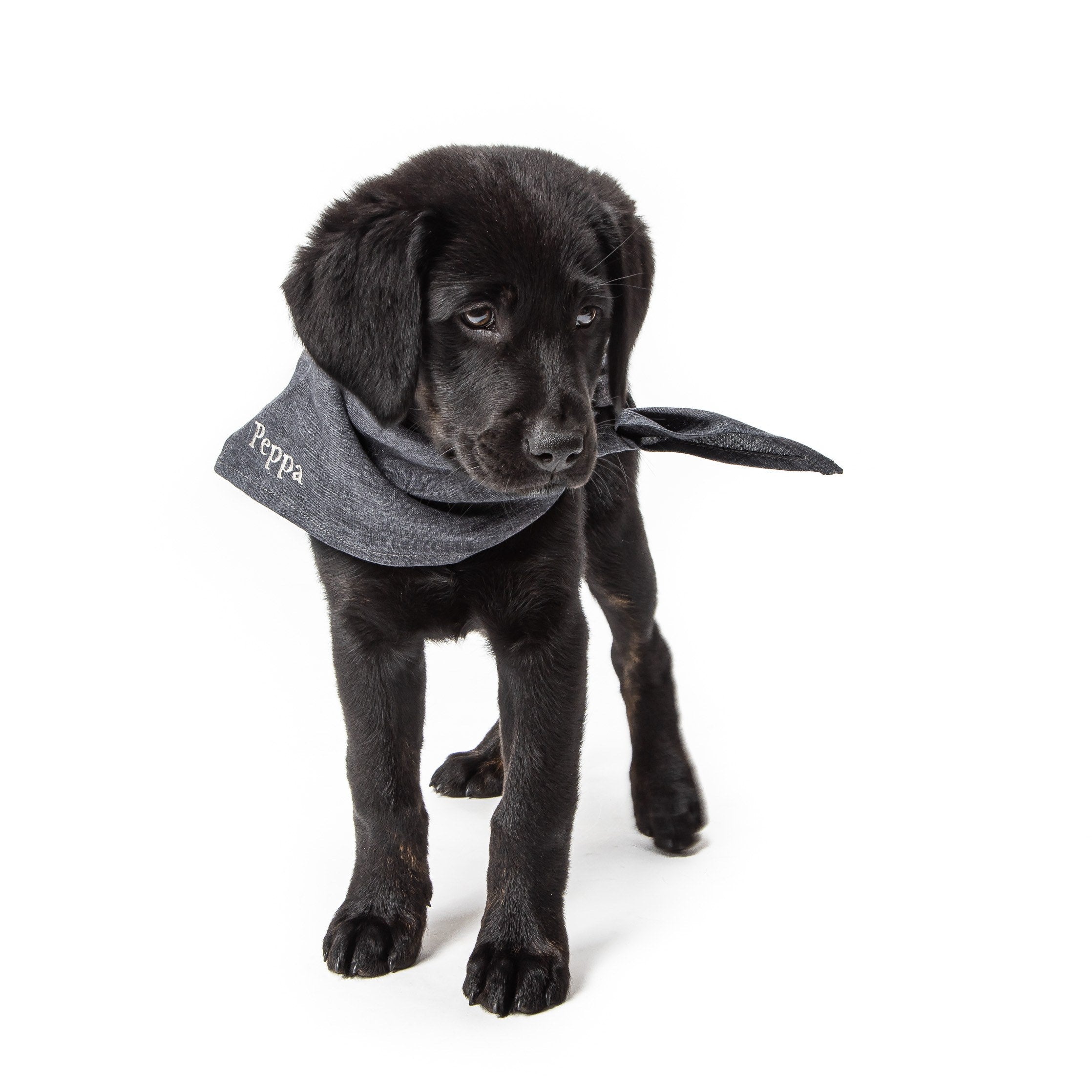 cloud7-hundehalstuch-mit-namen-indigo-bandana-aus-leinen image 4