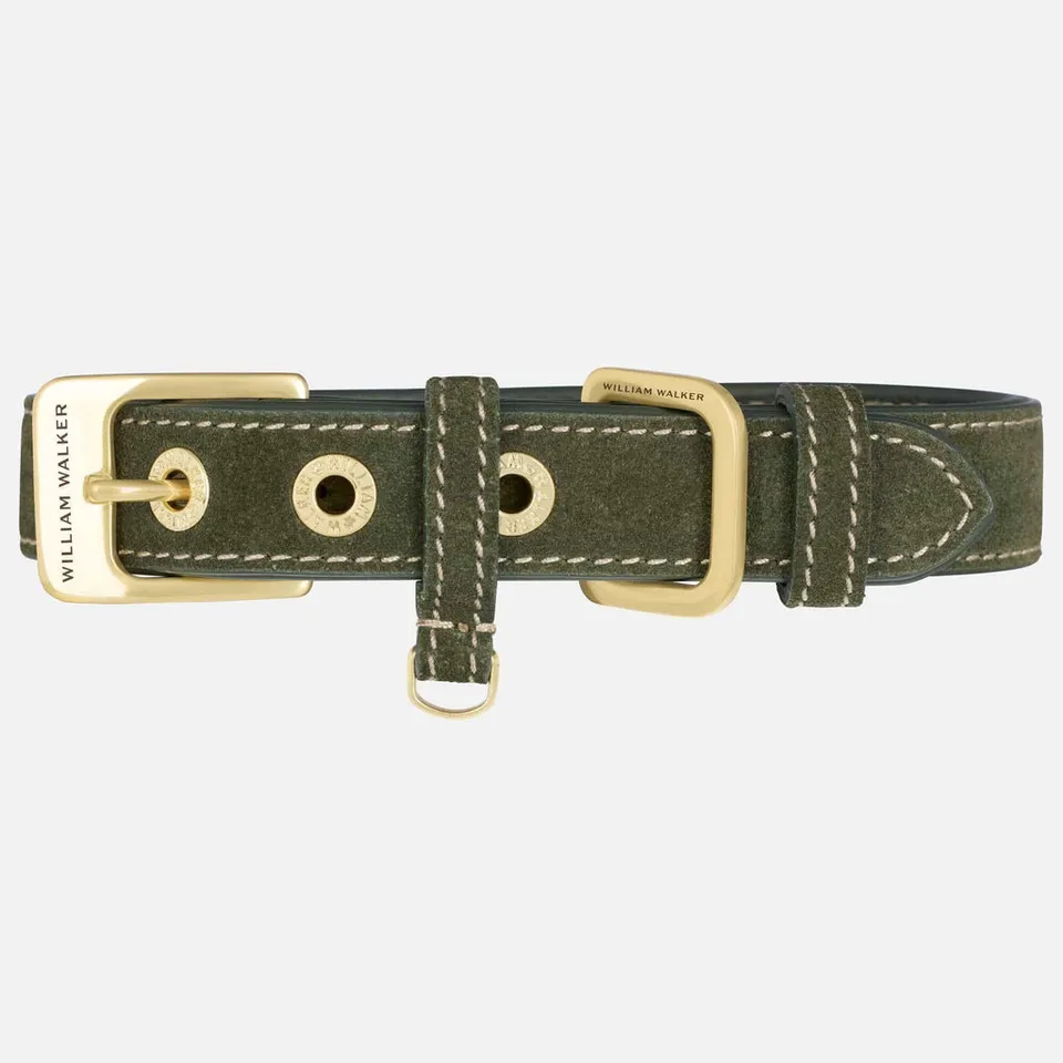 william-walker-wildleder-hundehalsband-forest-dunkelgr-n image 1