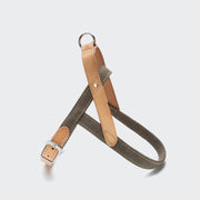 cloud7-harness-tivoli-greige-norweger-hundegeschirr-aus-canvas-und-leder image 2