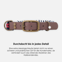 william-walker-paracord-biothane-hundehalsband-royal image 7