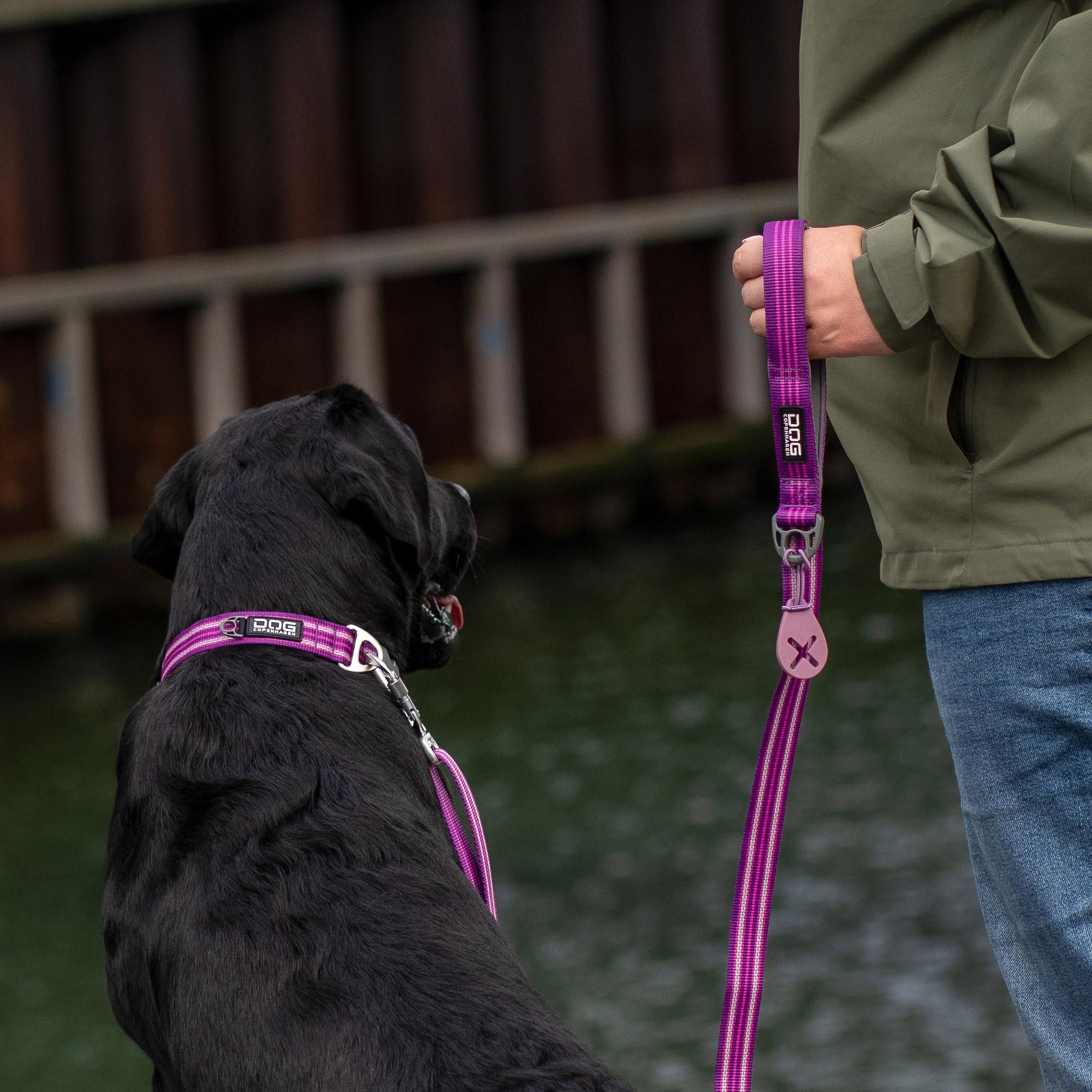 dog-copenhagen-urban-style-halsband-mocca-gr-s image 8