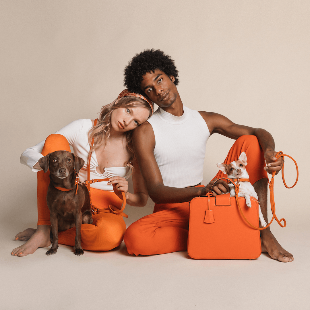 molly-and-stitch-butter-leather-hundehalsband-mango image 4
