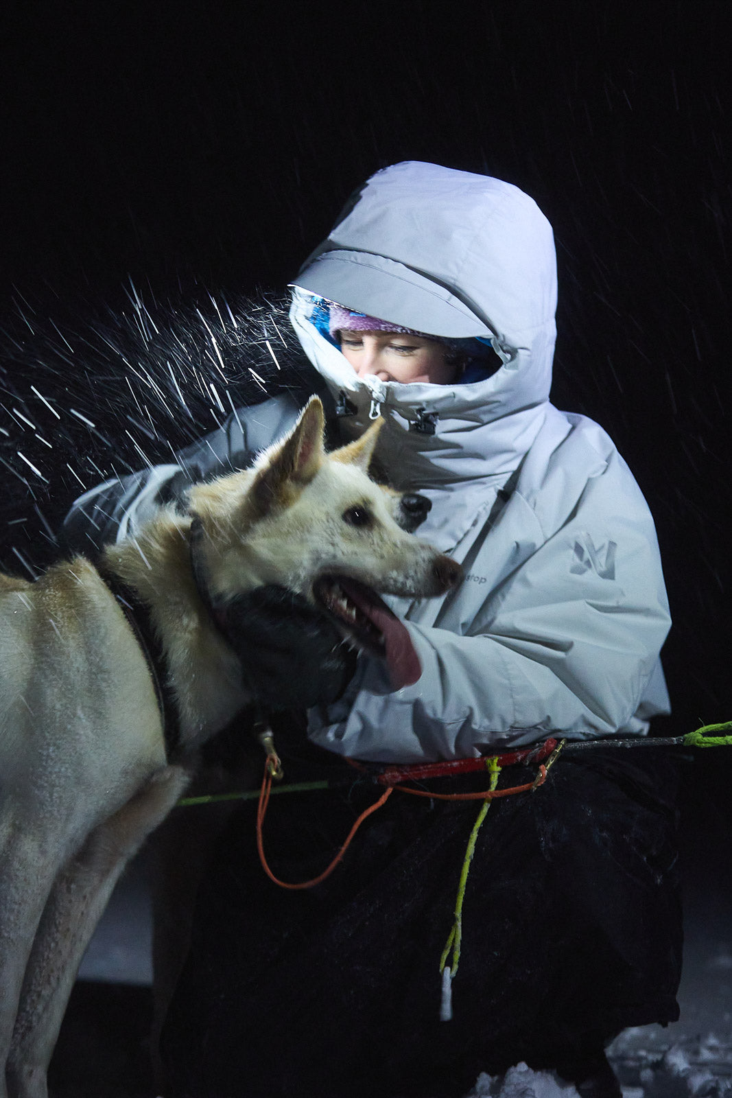 non-stop-dogwear-tundra-anojakka-2-0-musher-anorak image 3