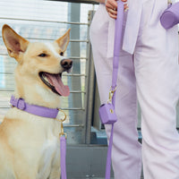 william-walker-leder-hundehalsband-lavender-lila image 7