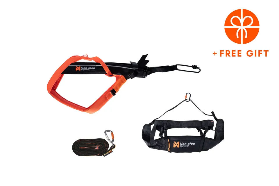non-stop-dogwear-canix-kit-black-orange-canicross-set-geschirr-gurt-leine image 1