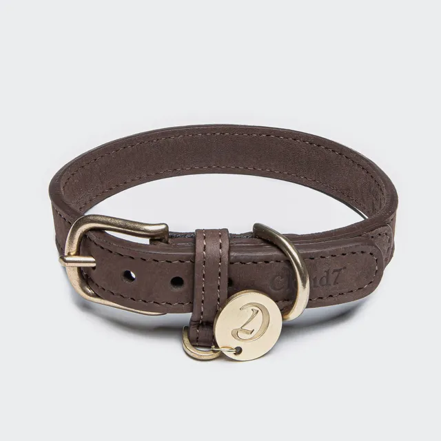 cloud7-hundehalsband-tiergarten-mocca-nubukleder-mit-messingschlie-e image 1