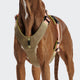 cloud7-hundegeschirr-y-2-aktiv-cordura-peach image 3