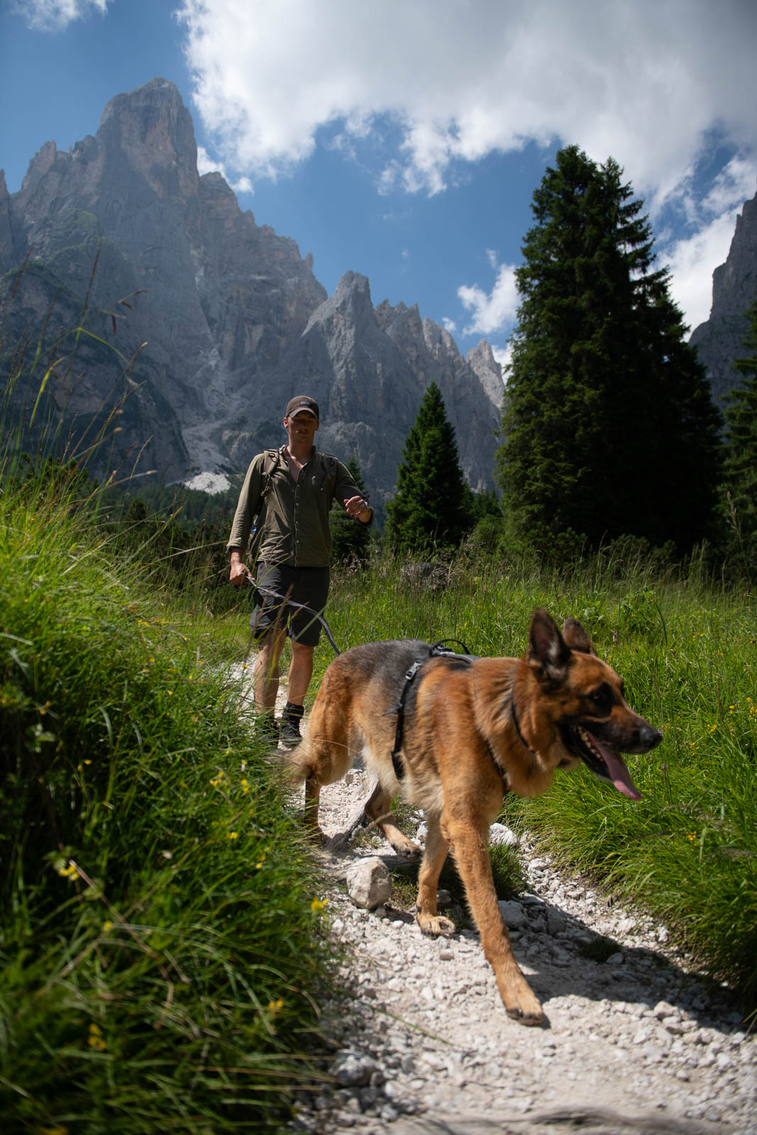 non-stop-dogwear-line-harness-grip-hundegeschirr image 4