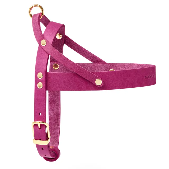molly-and-stitch-butter-leder-hundegeschirr-flamingo image 1