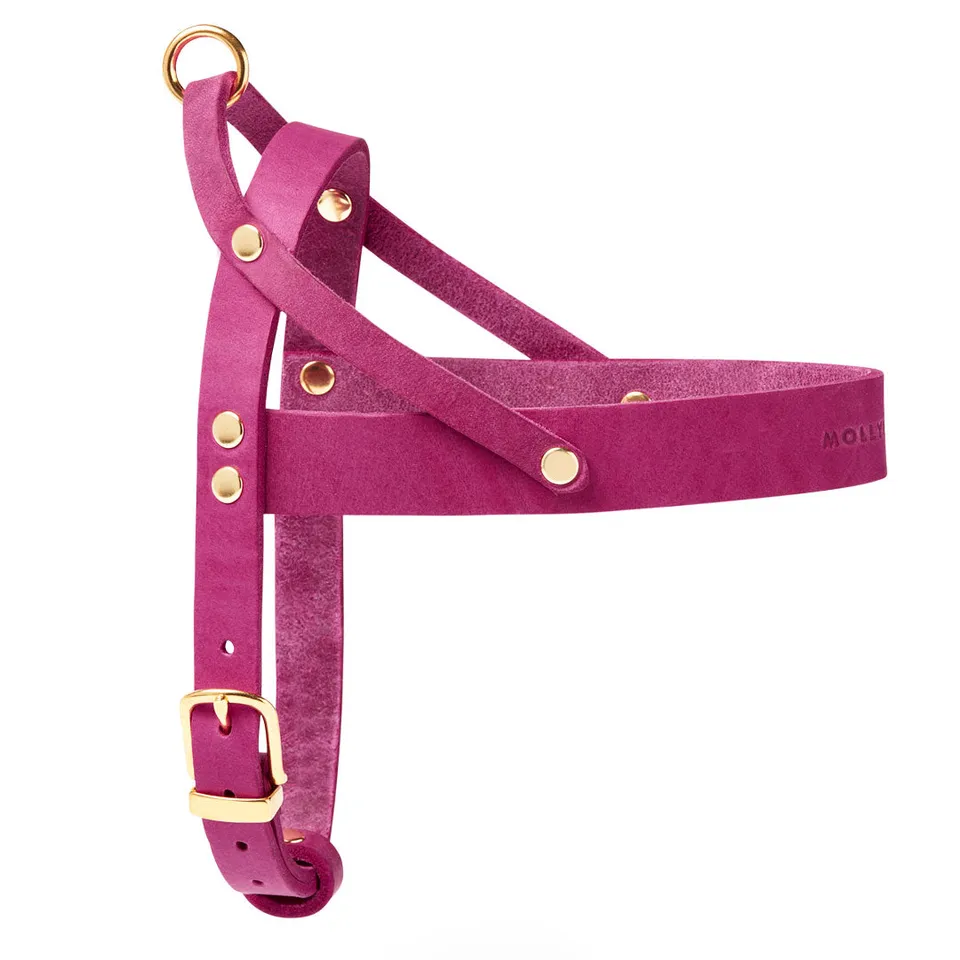molly-and-stitch-butter-leder-hundegeschirr-flamingo image 1