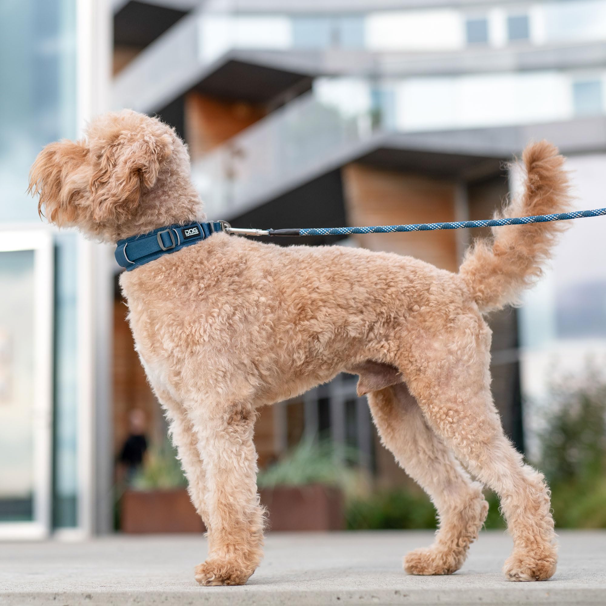dog-copenhagen-urban-explorer-3-0-halsband-classic-red-m image 6