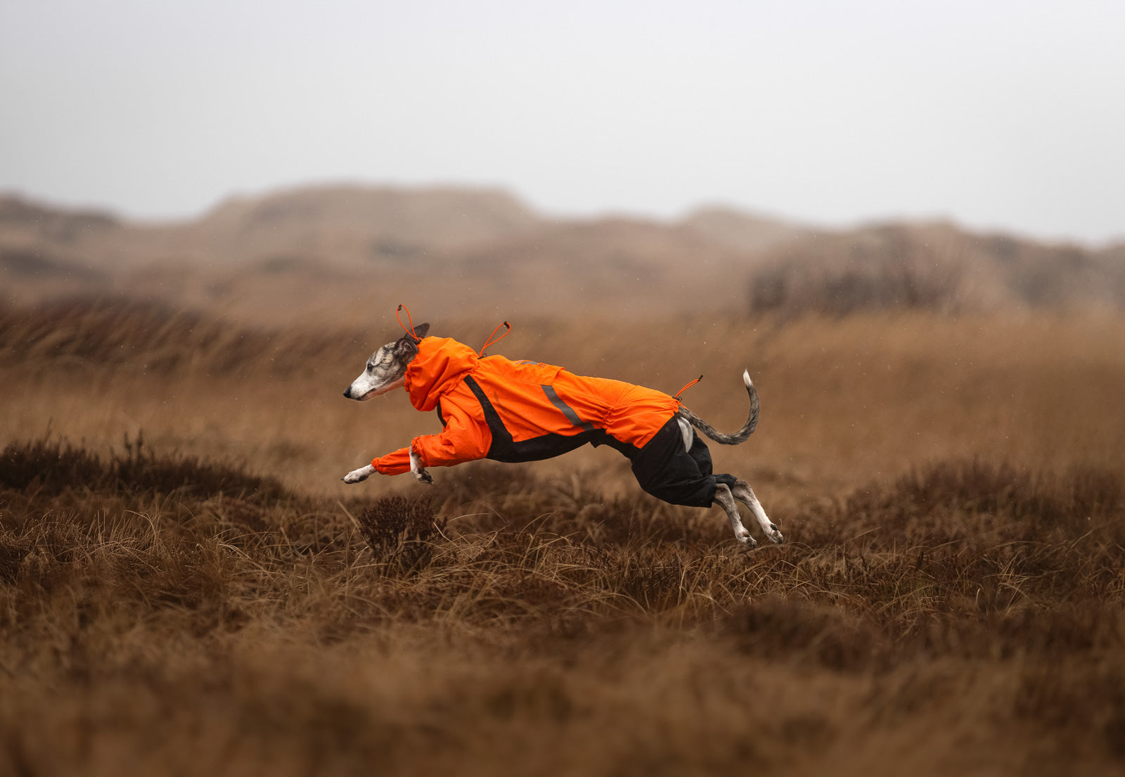 non-stop-dogwear-fjord-overall-raincoat-hunderegenmantel-overall image 6
