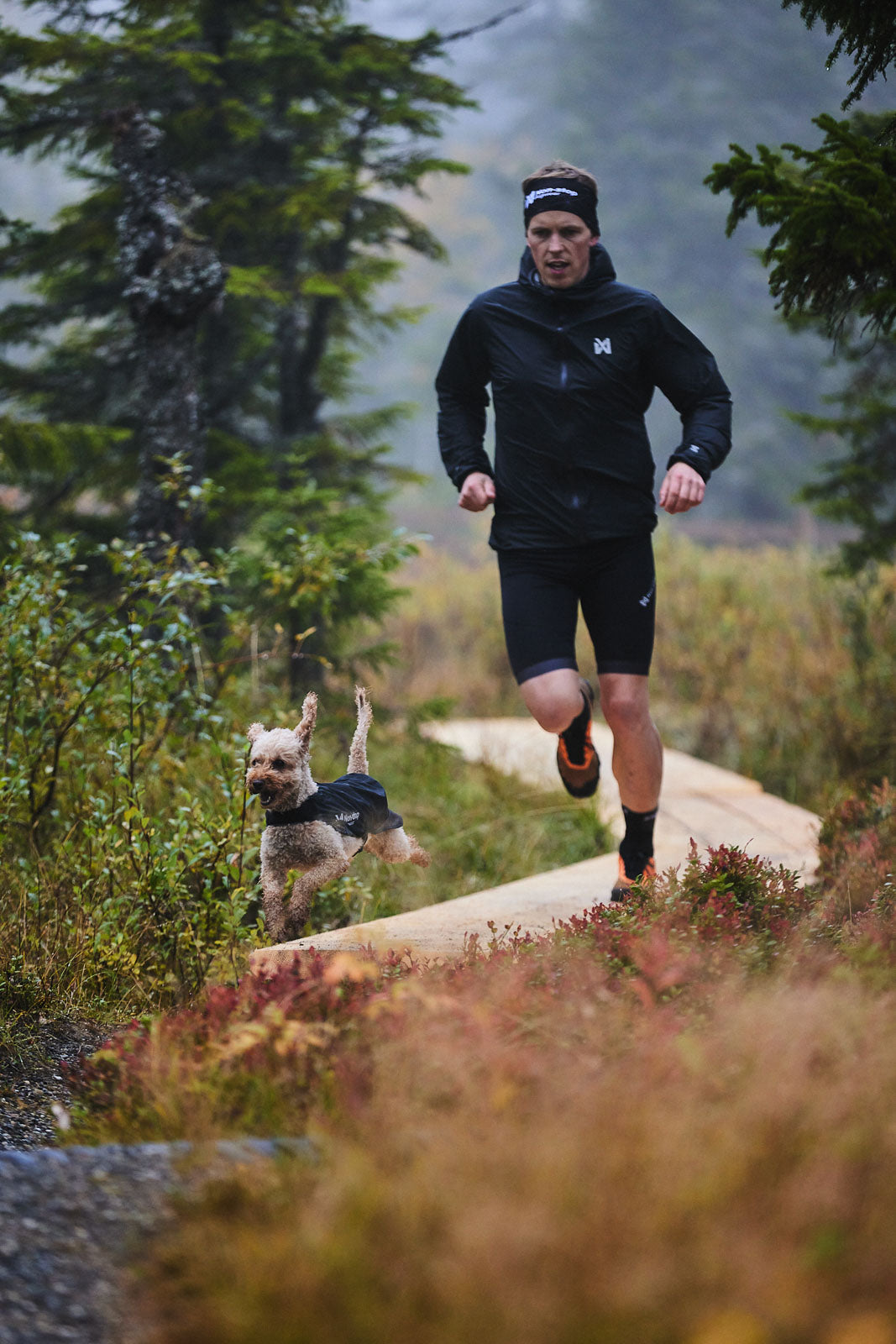 non-stop-dogwear-trail-light-dog-jacket-ultraleichte-packbare-hunde-regenjacke image 3