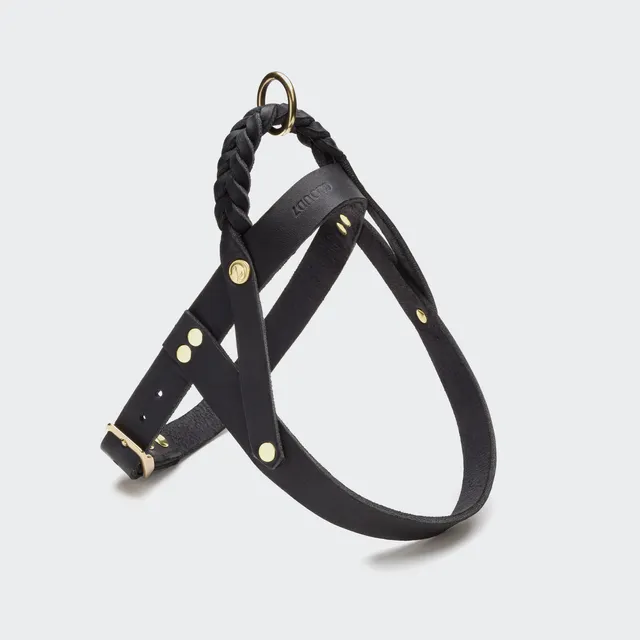 cloud7-norwegergeschirr-central-park-black-gold-aus-fettleder image 1