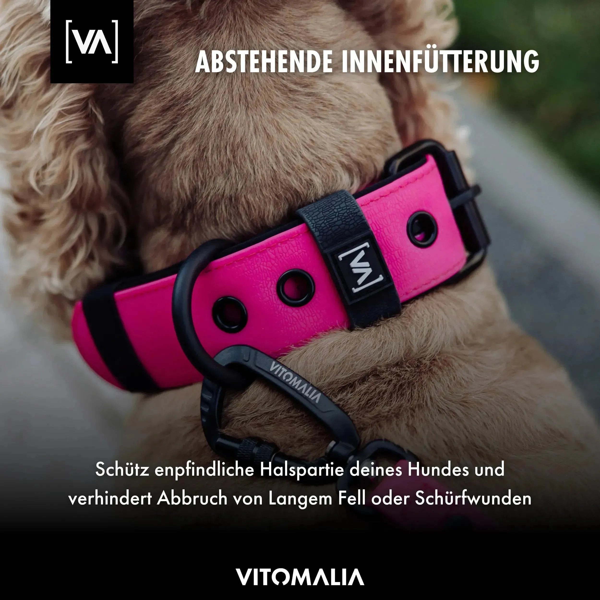vitomalia-aqua-edition-wasserhalsband-schwarz-mit-innenf-tterung image 5