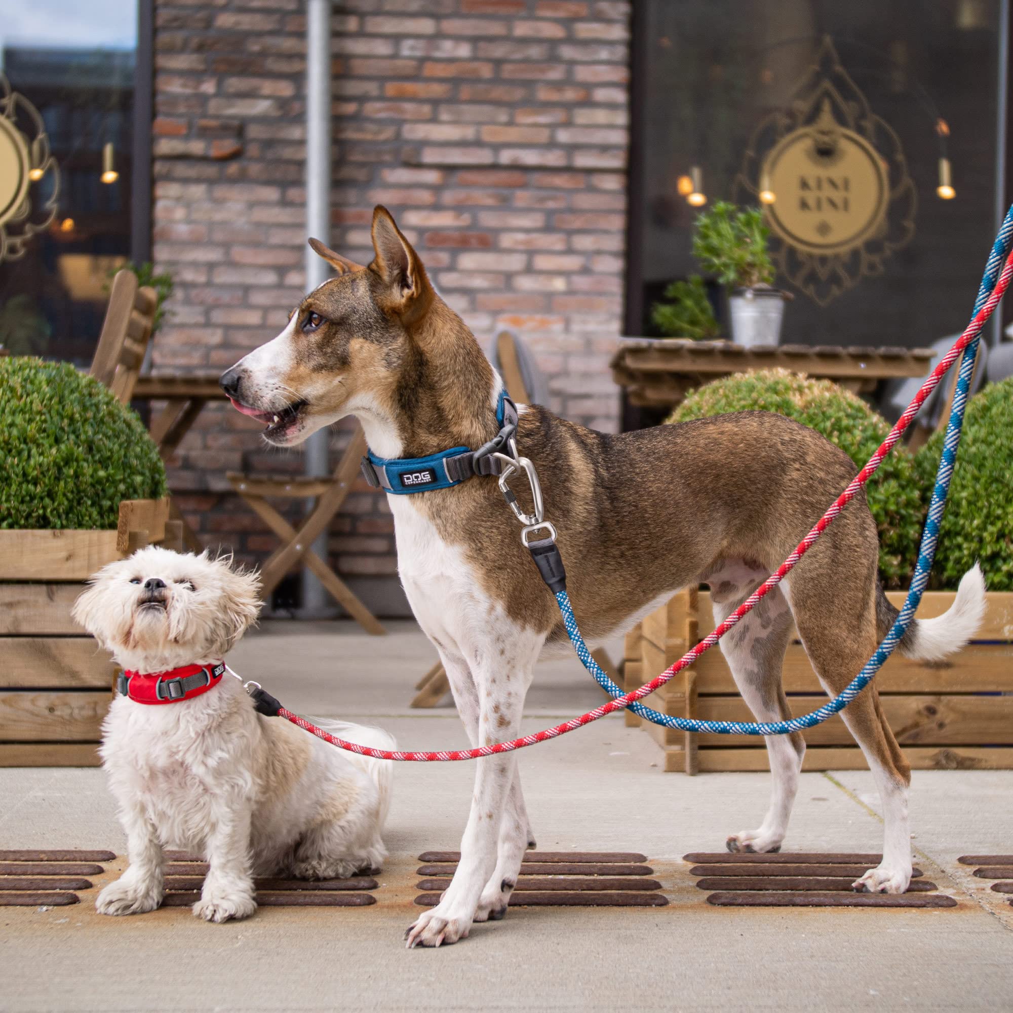 dog-copenhagen-urban-rope-schleppleine-s-classic-red-1-6-m-seilleine image 6