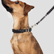 cloud7-central-park-hundehalsband-black-silver-2 image 4