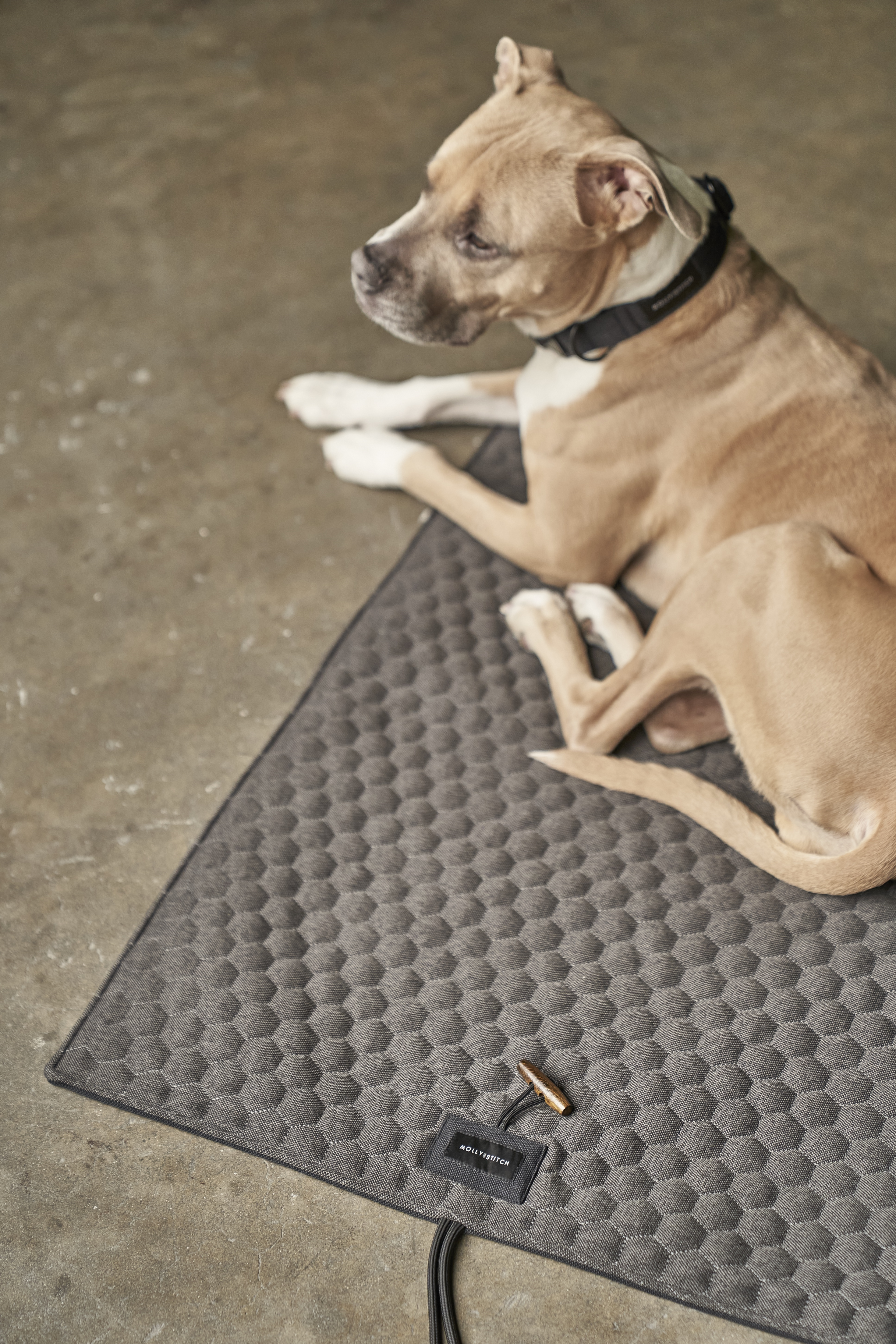 molly-and-stitch-honeycomb-hundereisematte-grey image 8