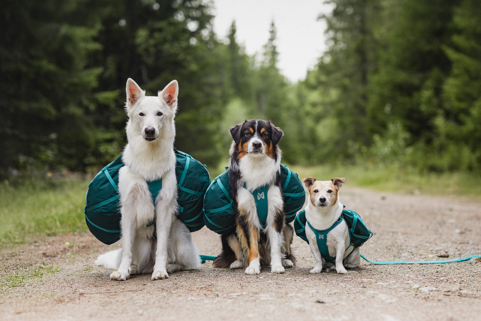 non-stop-dogwear-trail-quest-dog-backpack-hundrucksack-mit-y-geschirr-f-r-wander image 4