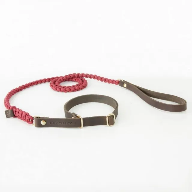 molly-and-stitch-touch-of-leather-retriever-hundeleine-redwine image 1