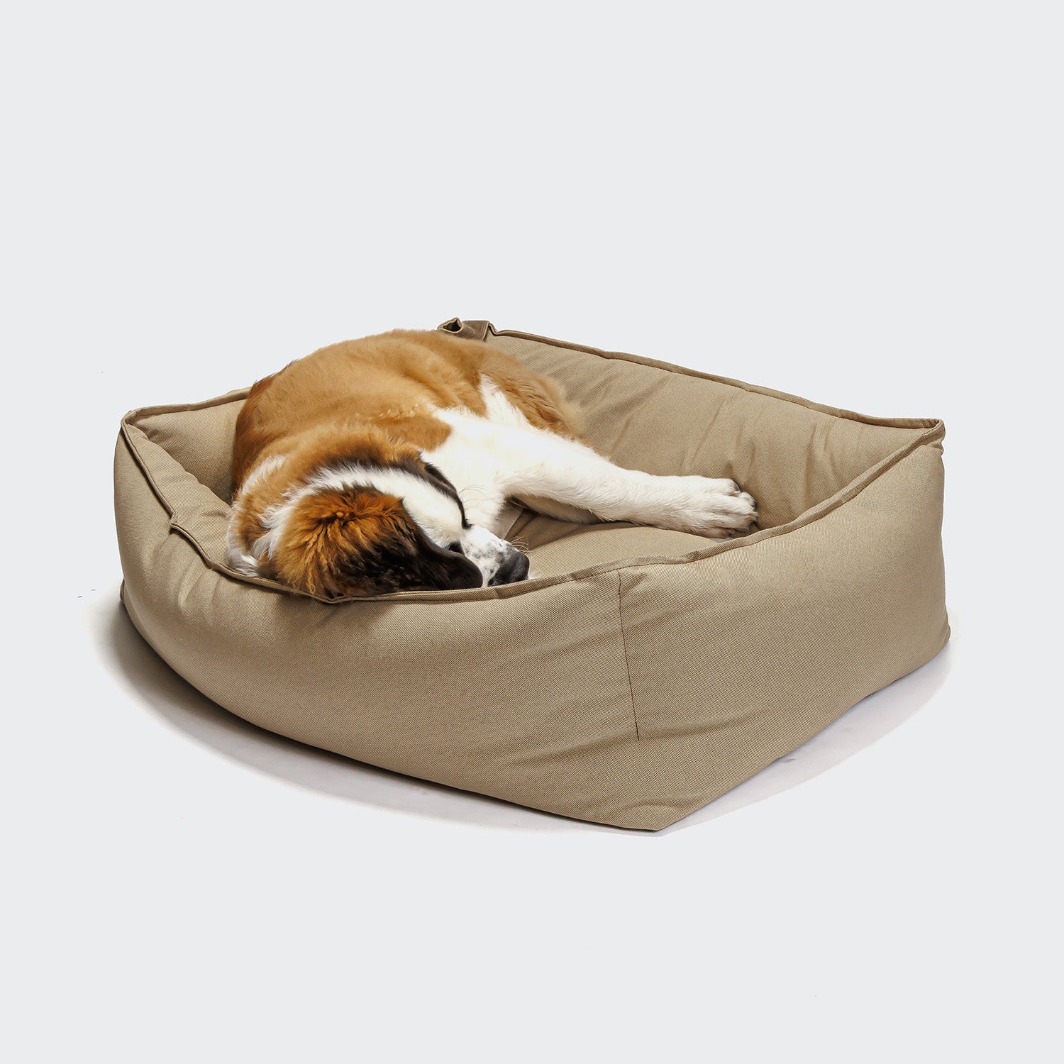 cloud7-boost-hundebett-canvas-beige-mit-rand-und-einlegekissen image 3