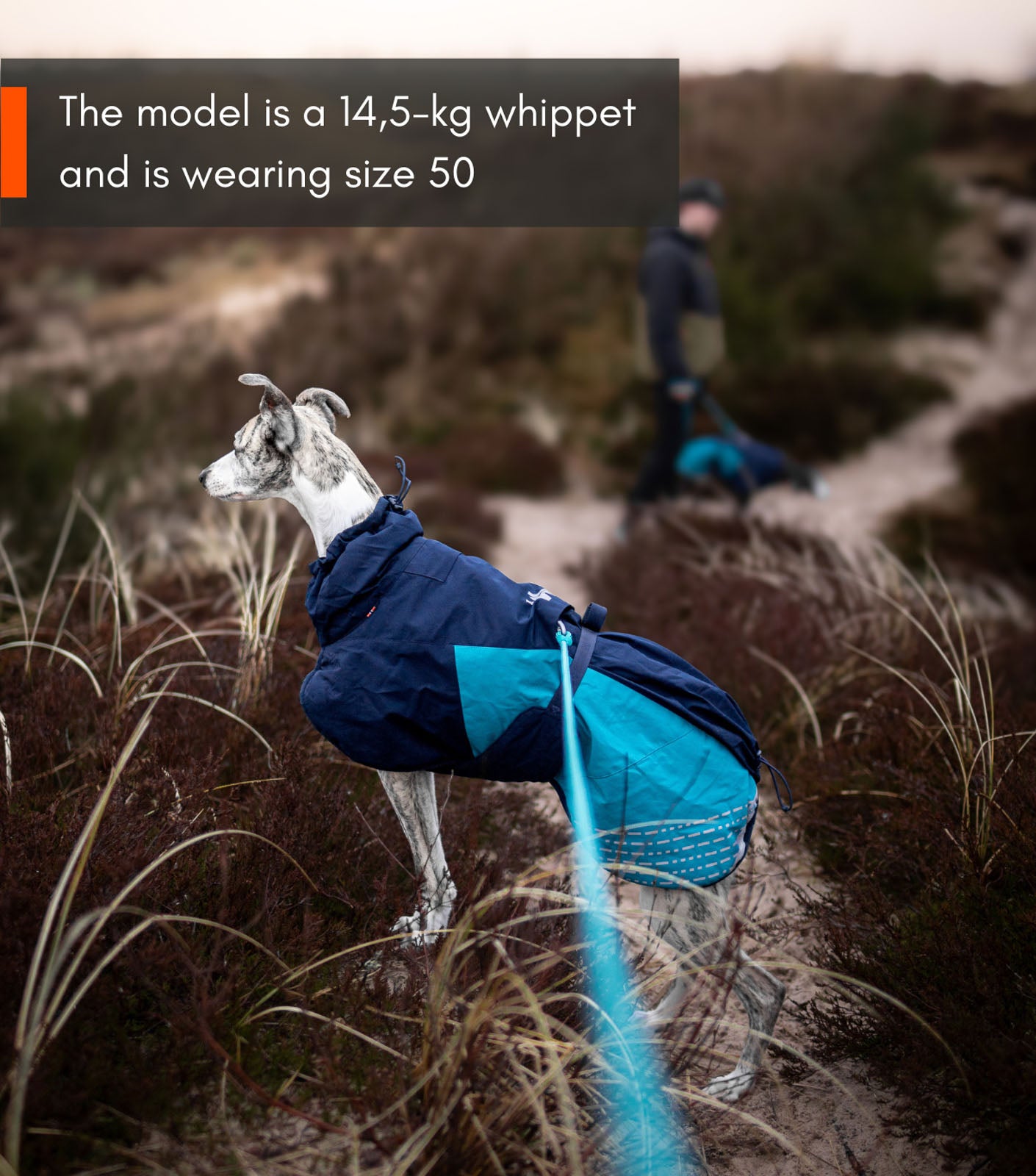 non-stop-dogwear-glacier-jacket-2-0-winterjacke-f-r-hunde image 6