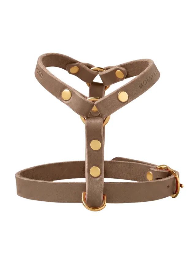 molly-and-stitch-butter-leather-y-hundegeschirr-taupe image 1