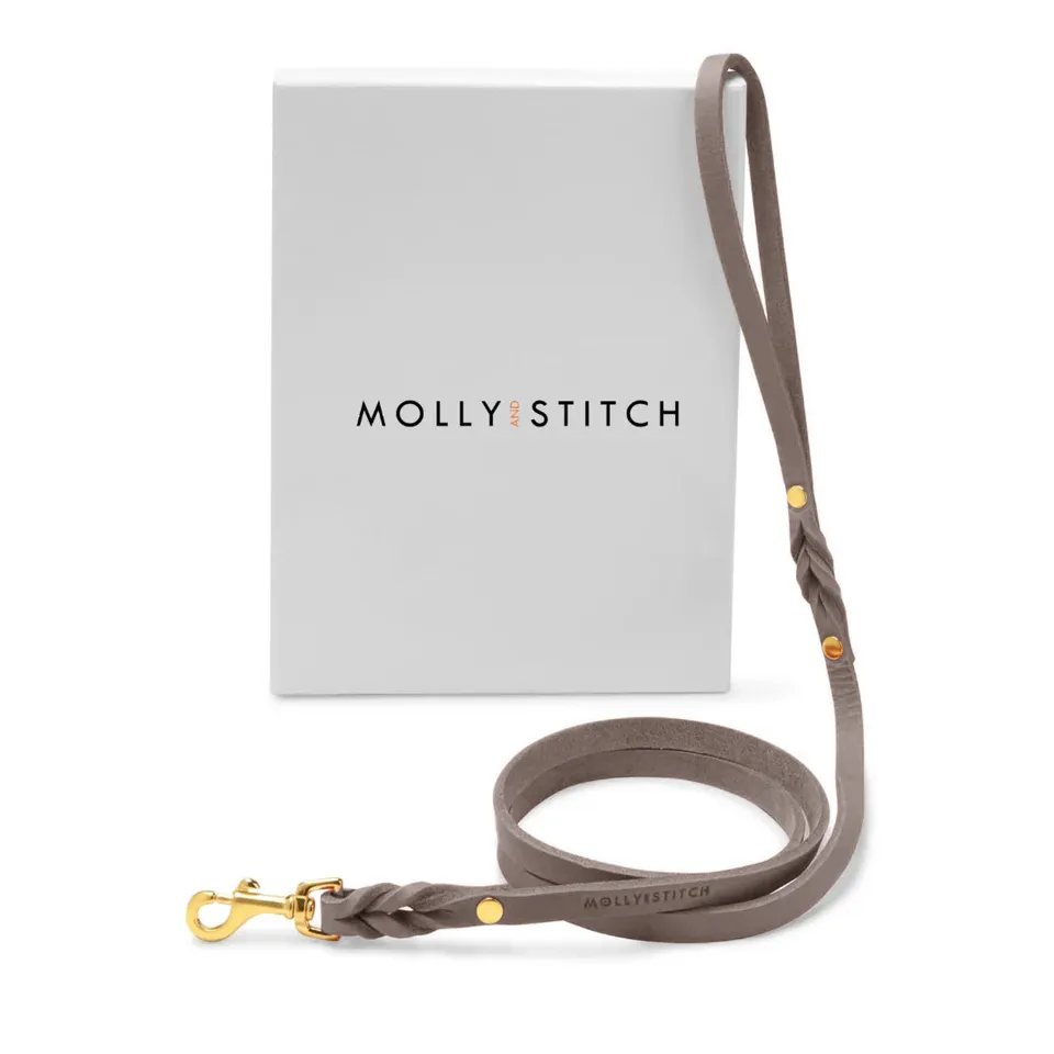 molly-and-stitch-city-hundeleine-aus-butterleder-taupe image 1