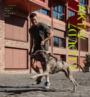 cloud7-y-safe-sicherheitsgeschirr-aktiv-khaki-grey image 6