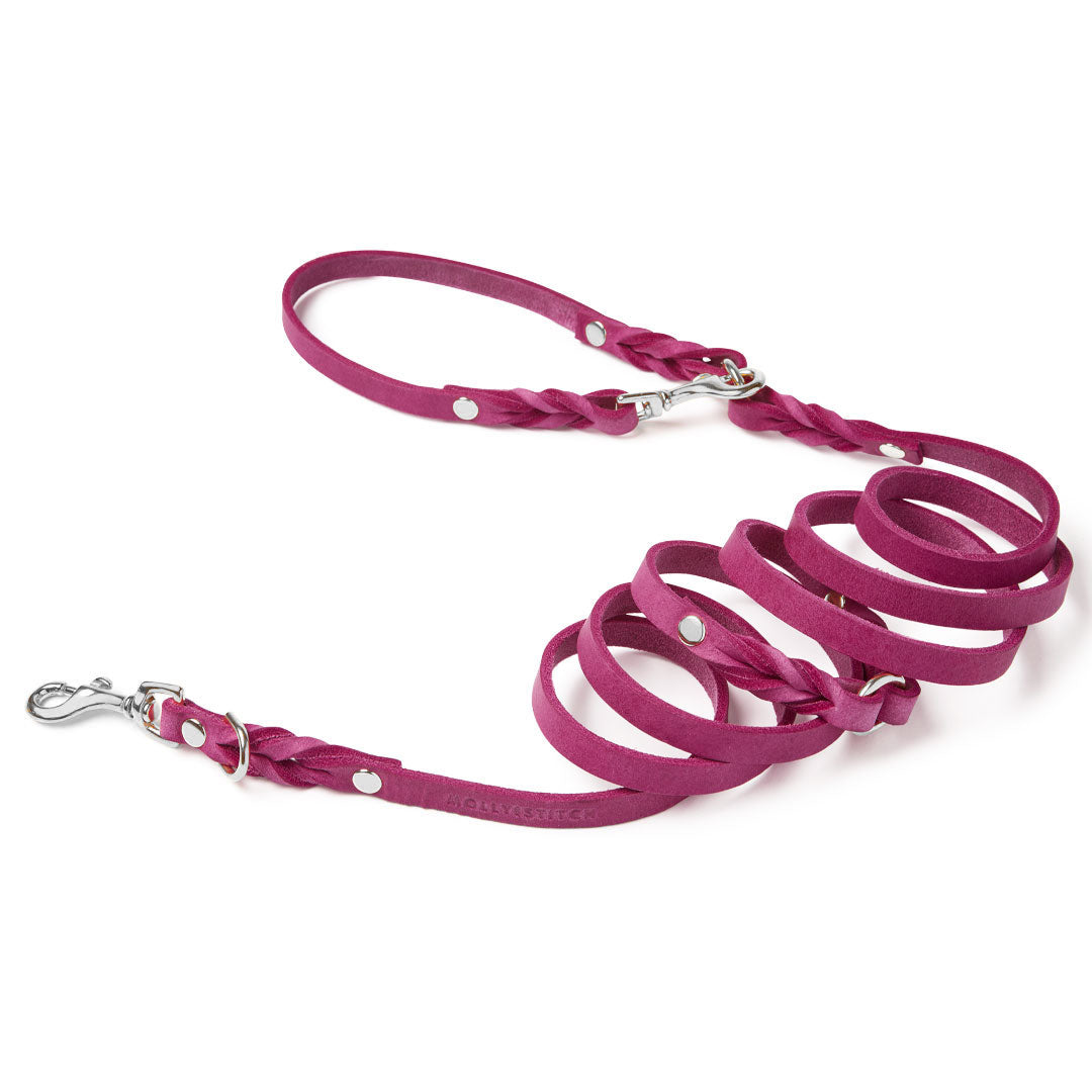molly-and-stitch-butter-leather-3-fach-verstellbare-hundeleine-200-cm-flamingo image 5