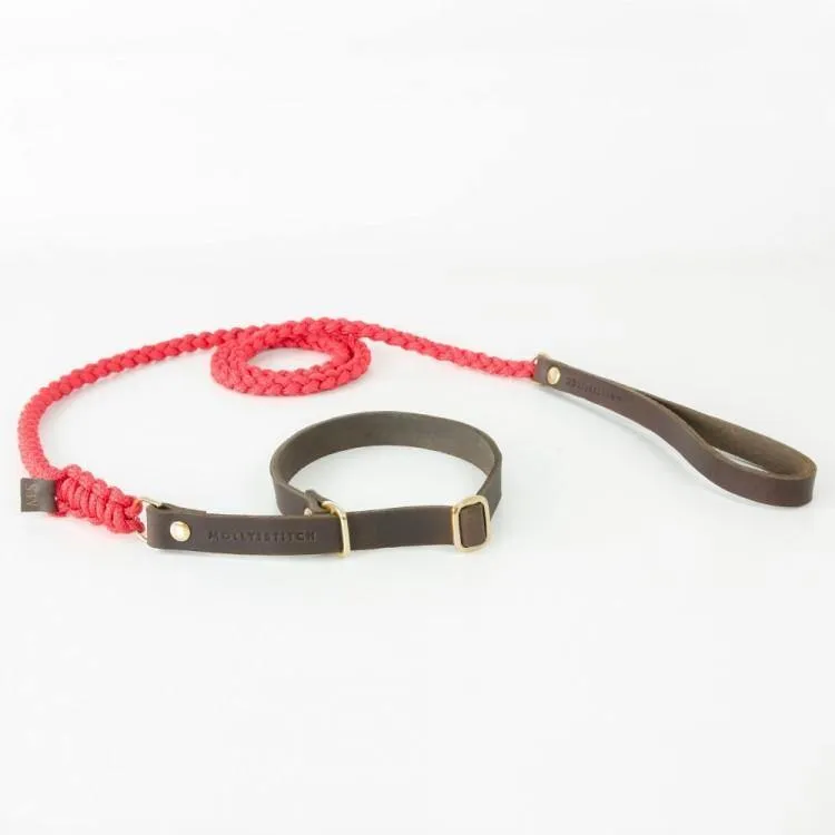 molly-and-stitch-touch-of-leather-retriever-hundeleine-lipstick image 1