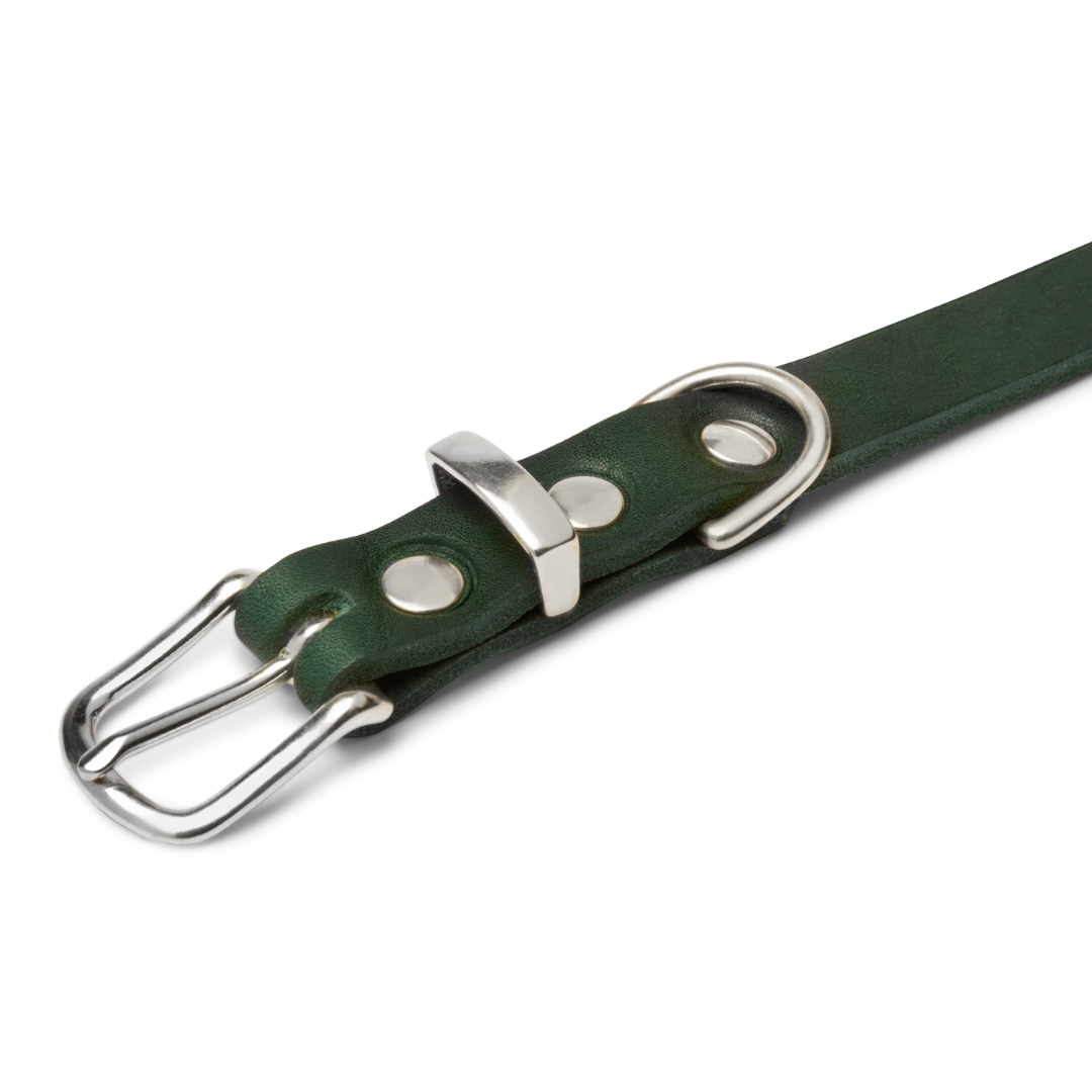 molly-and-stitch-butter-leather-hundehalsband-forest-green image 3