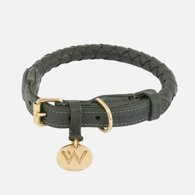 william-walker-twisted-dark-moss-leder-hundehalsband-dunkelgr-n-geflochten image 1