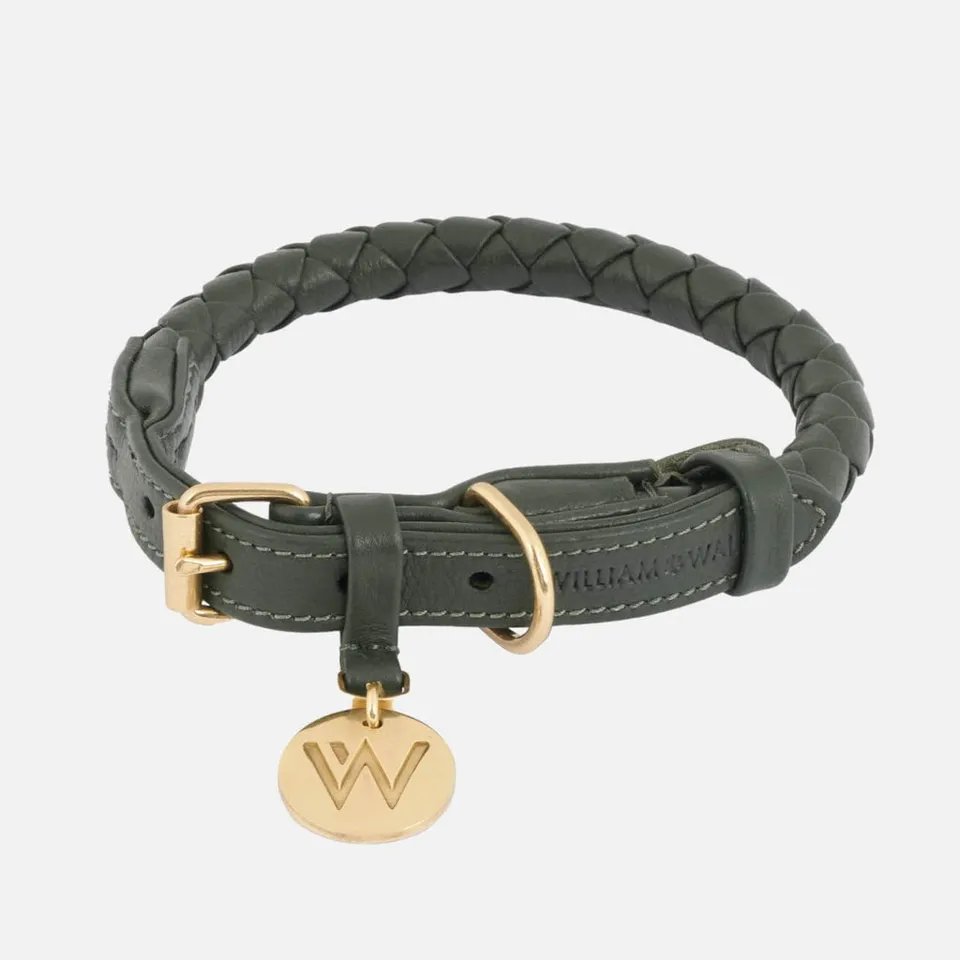 william-walker-twisted-dark-moss-leder-hundehalsband-dunkelgr-n-geflochten image 1