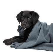 cloud7-hundedecke-soft-fleece-dove-blue-s-m-l image 5