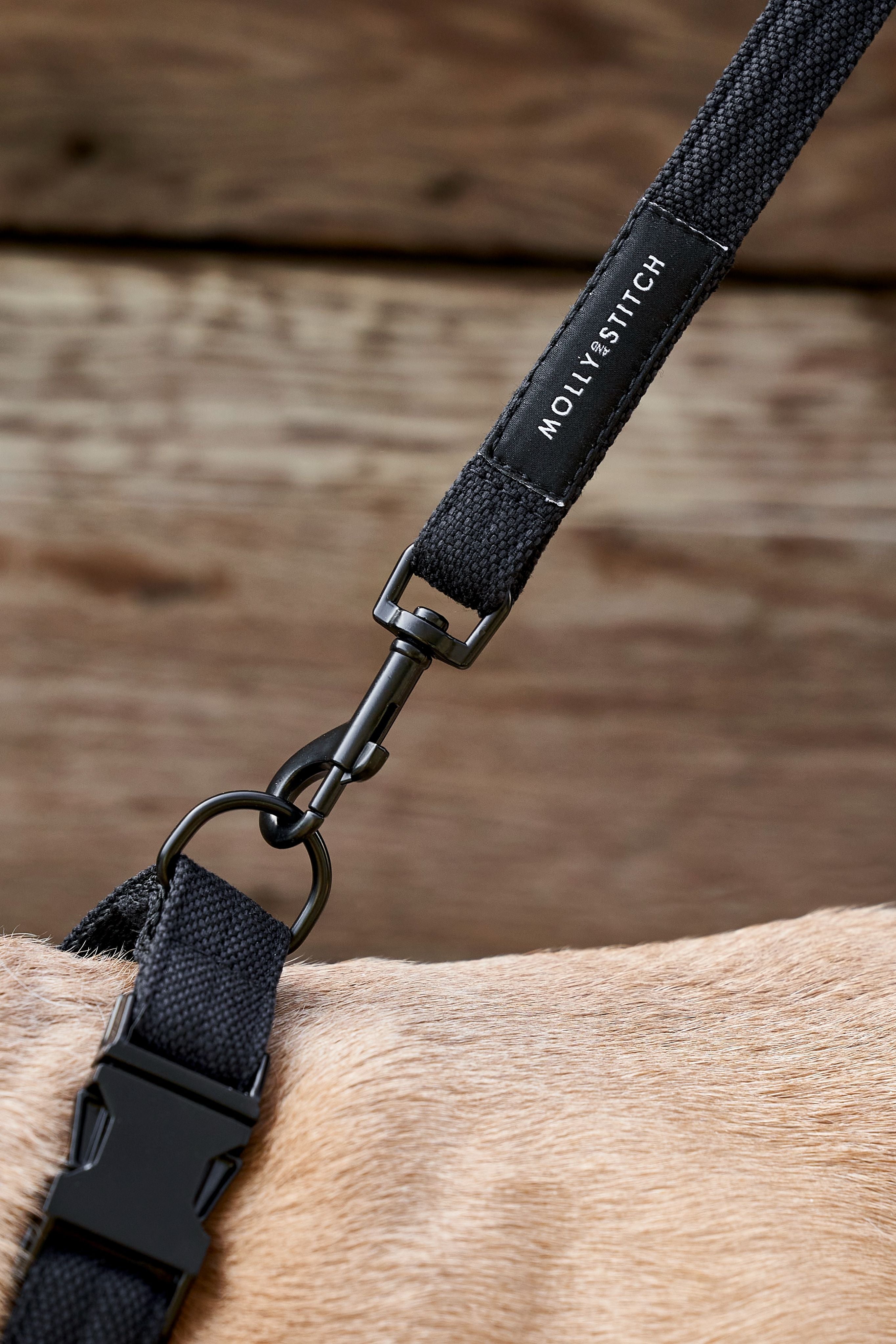 molly-and-stitch-soft-rock-hundehalsband-black image 7