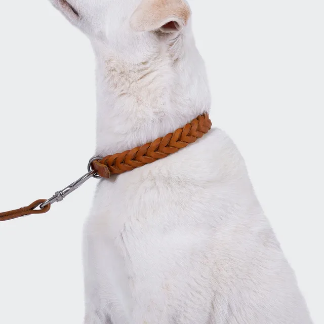cloud7-central-park-hundehalsband-camel-silver image 1